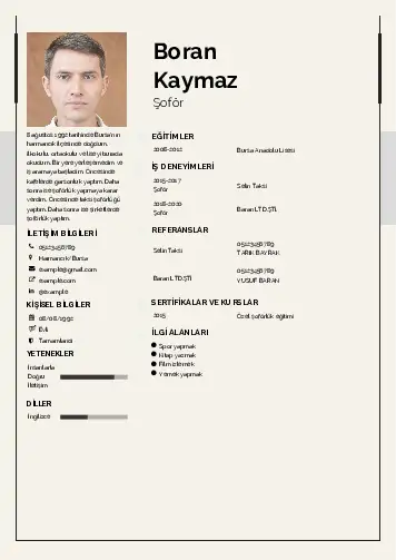 Şoför Cv Örnekleri cv indir